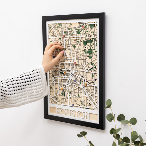 3D City Map Houston