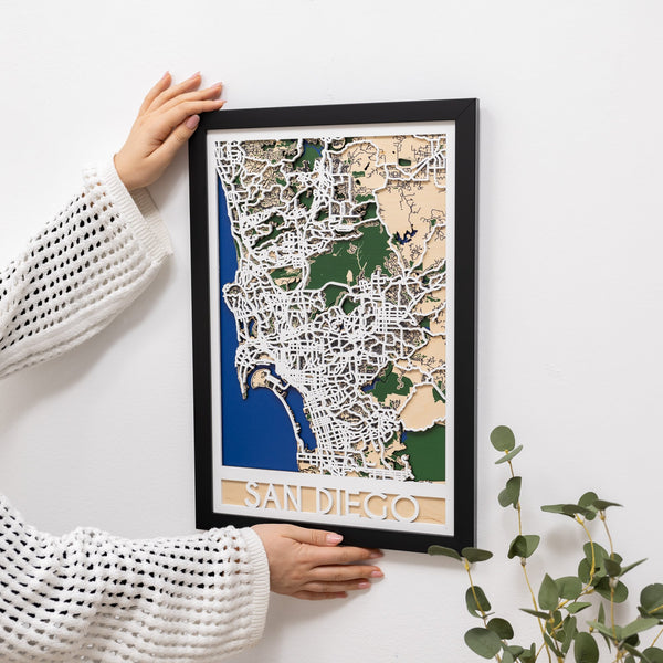 3D City Map San Diego