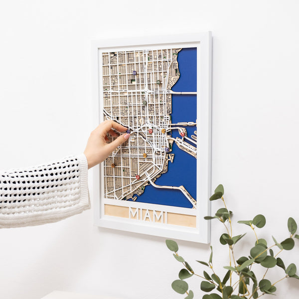 3D City Map Miami